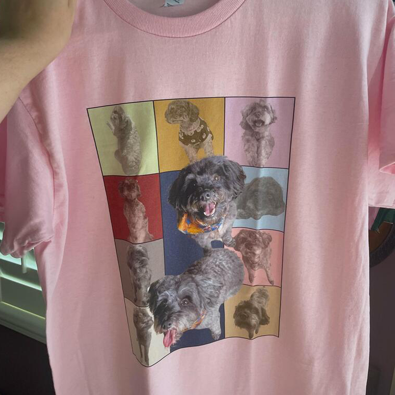 Custom Eras Tour Light Shirt, Personalized Shirt, Gift For Pet Lovers