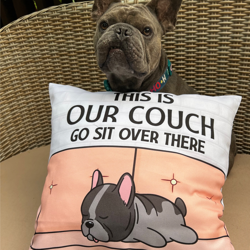 This Is Our Couch Sit Over There, Personalized Pillow For Dog Lovers